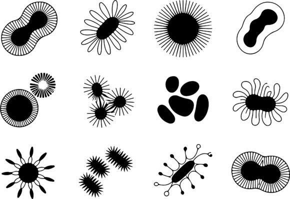 Download Abstract Organic Shapes Clipart Vector - Organic shapes Collection